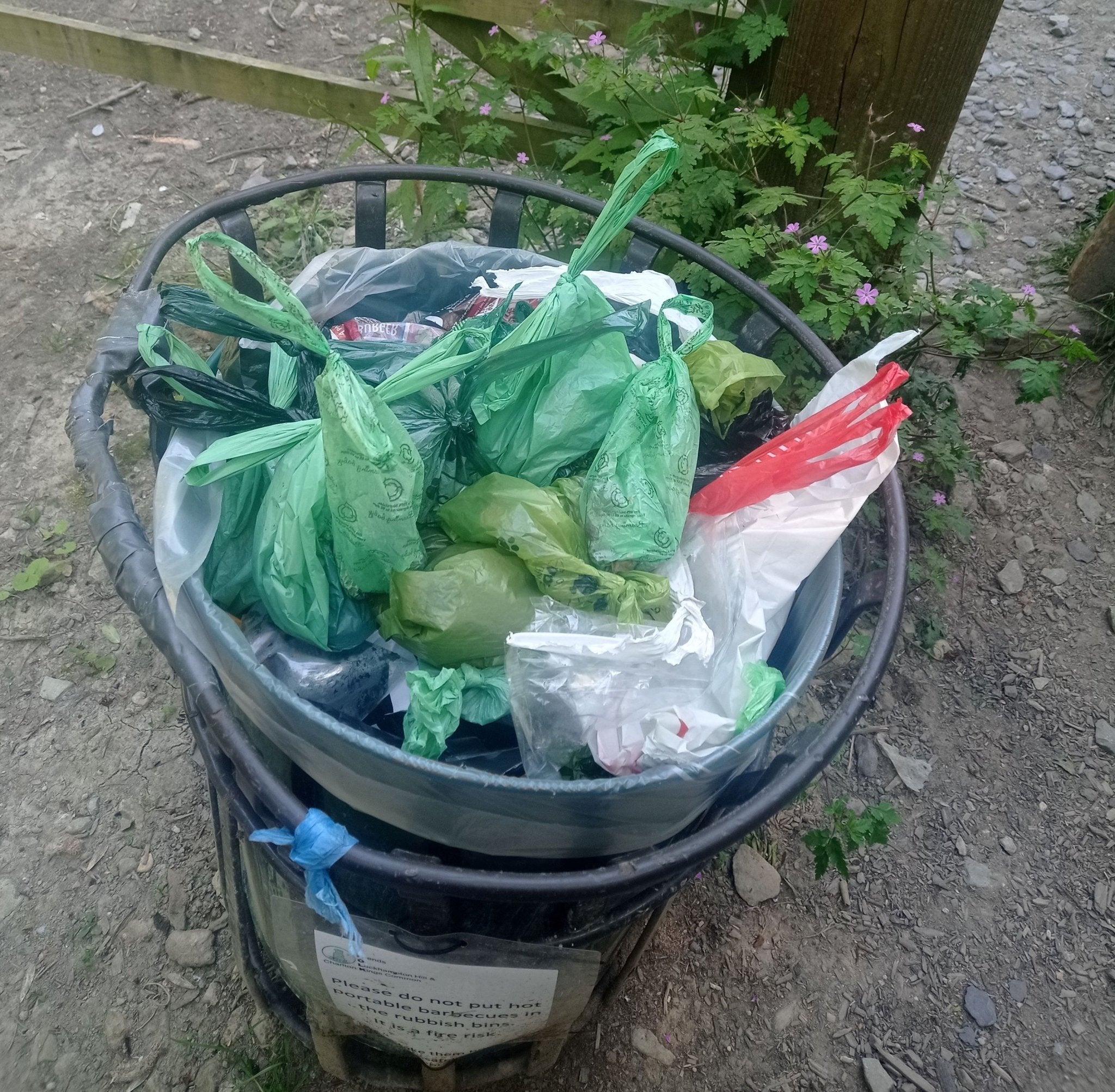 Is Dog Poop Biodegradable? Surprising Facts You Need to Know