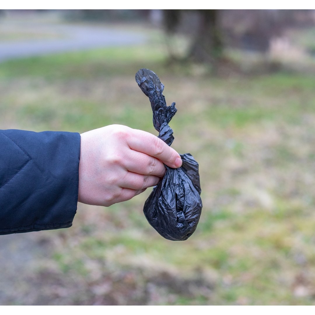 Dog Poop Bag: Essential Tips for Eco-Friendly Cleanup