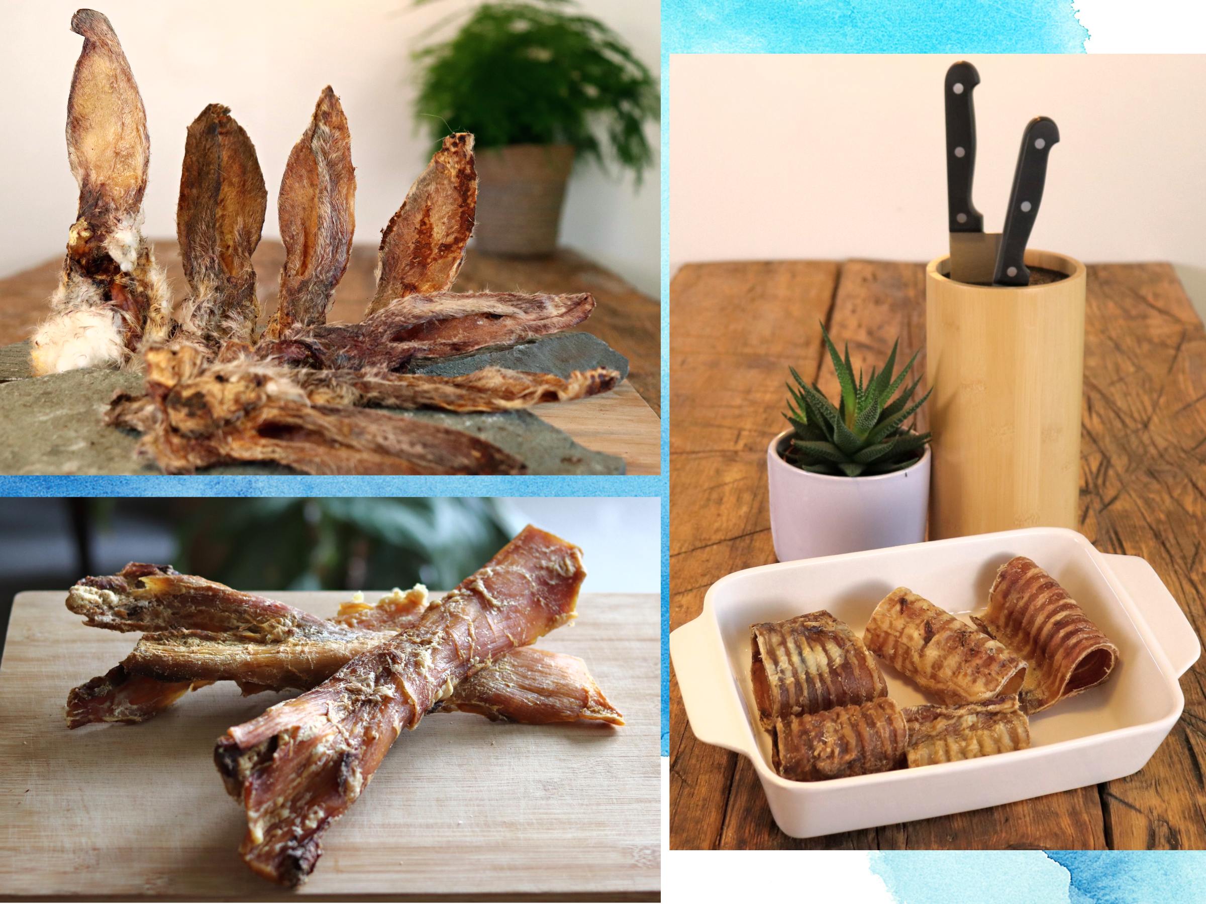 Pet Impact Cool Climate Chews