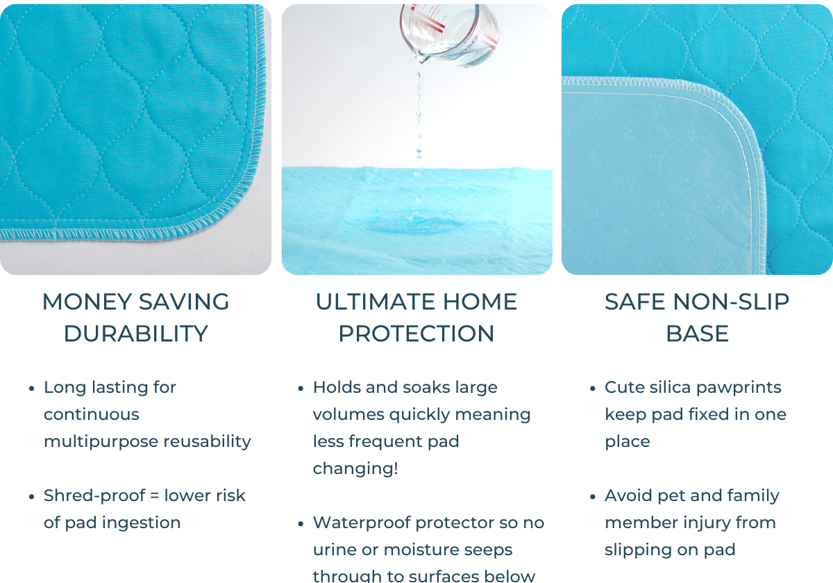 An infographic showing the features of Pet Impact Washable Puppy Pads. Money saving durability, ultimate home protection, safe non-slip base.