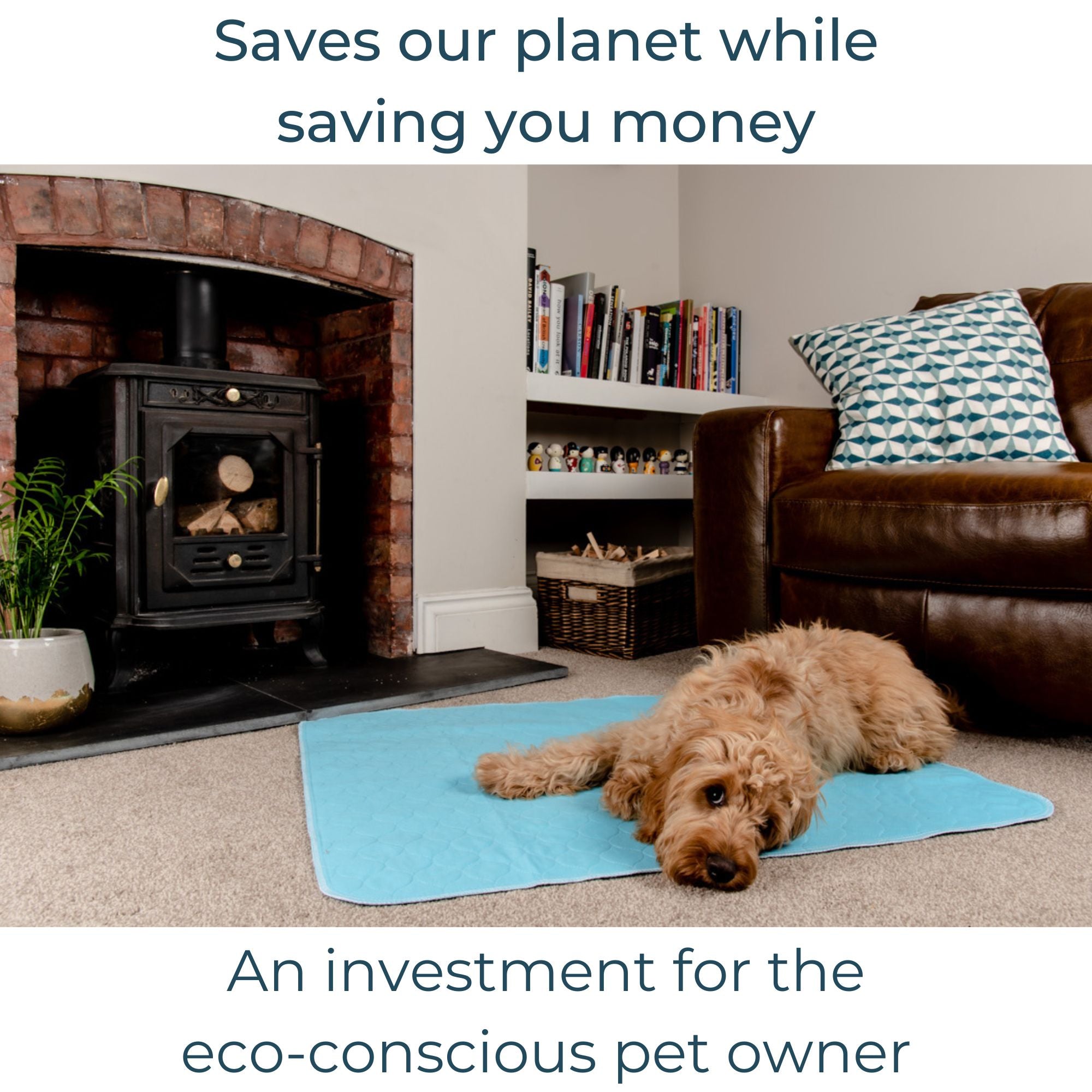 Our reusable pee pads save you money, whilst saving the planet!