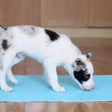 A photograph of a puppy licking a Pet Impact reusable puppy pad.