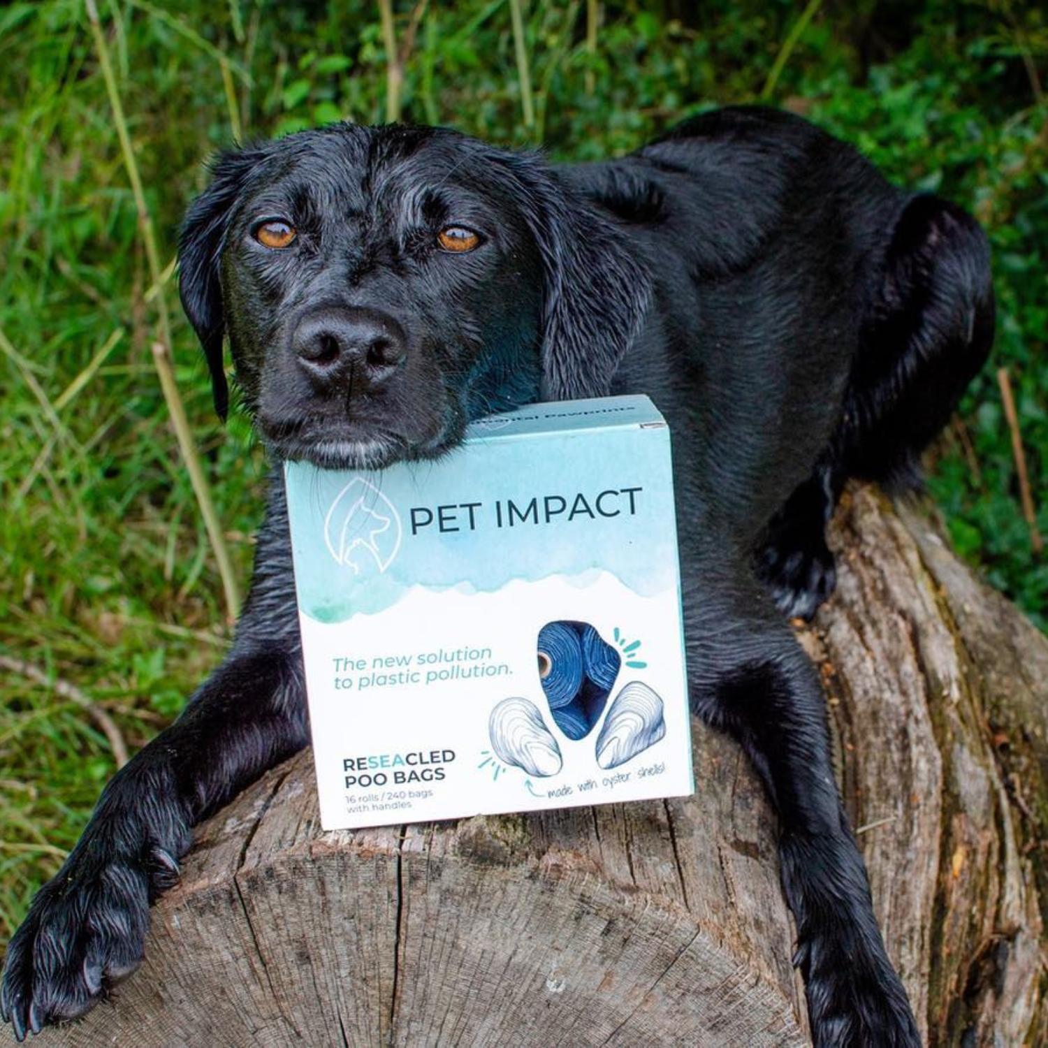 A black dog sat on a log, with their head resting on a box of reseacled poo bags