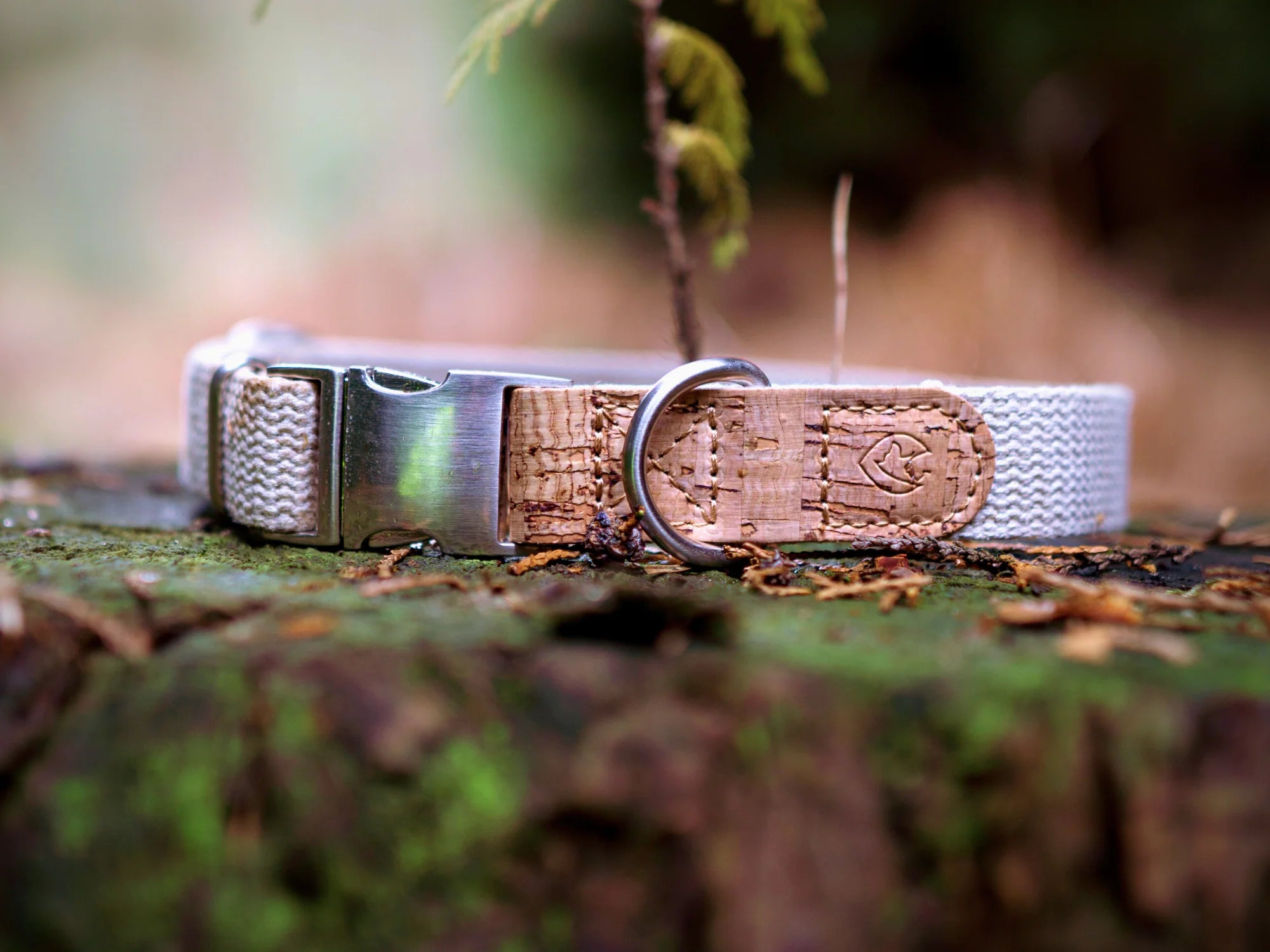 A photo of a hemp and cork dog collar in a woody scene