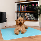 A photo of a dog sat on a reusable puppy pad