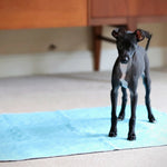 A puppy stood on a reusable puppy pad