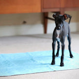 A puppy stood on a reusable puppy pad