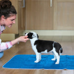 A puppy stood on a washable puppy pad, being petted by a woman