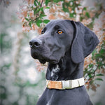 Hemp Collar and Lead Set - Pet Impact
