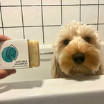 Plastic-free Oat Milk Shampoo - Pet Impact