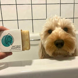Plastic-free Oat Milk Shampoo - Pet Impact