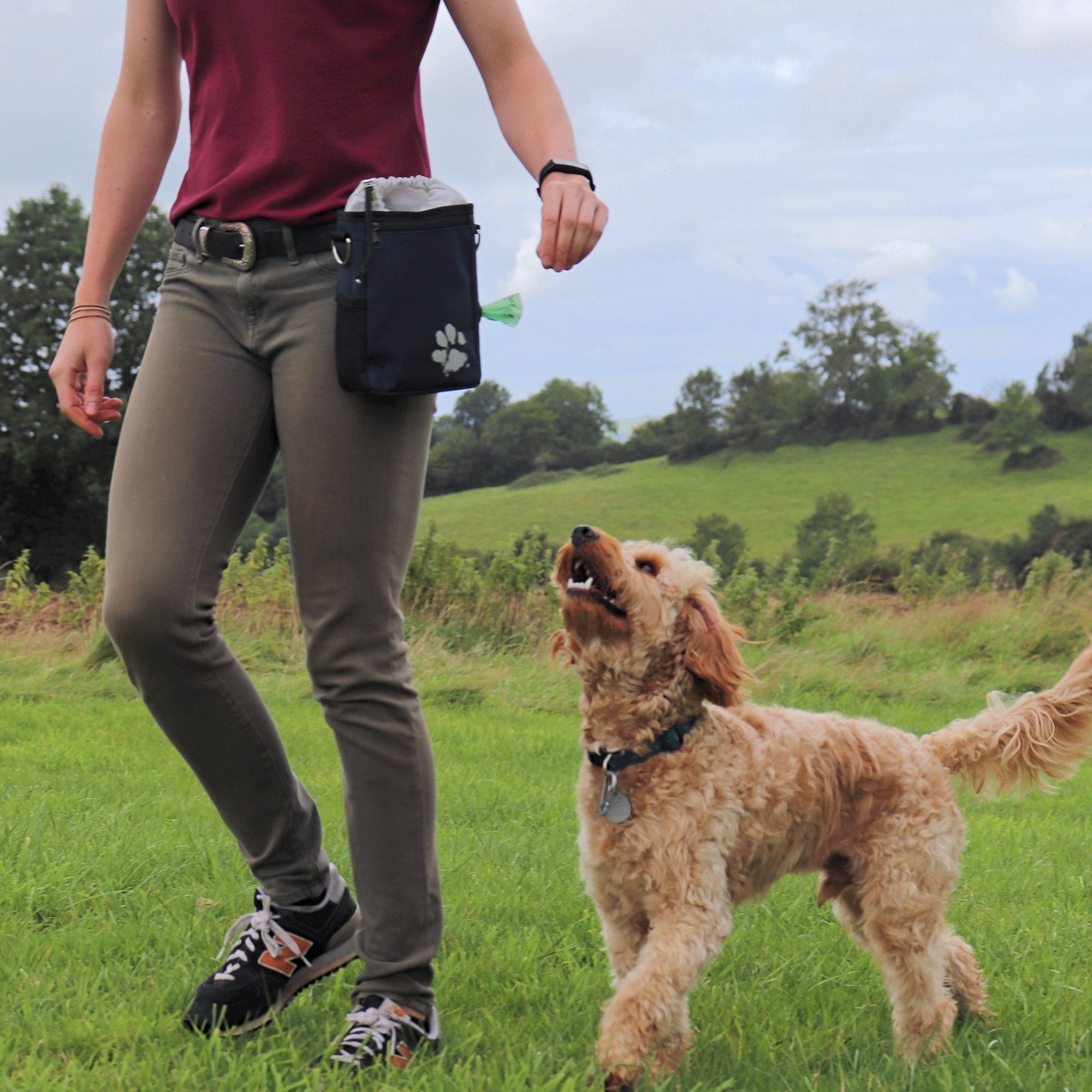 Recycled Treat & Walking Bag - Pet Impact