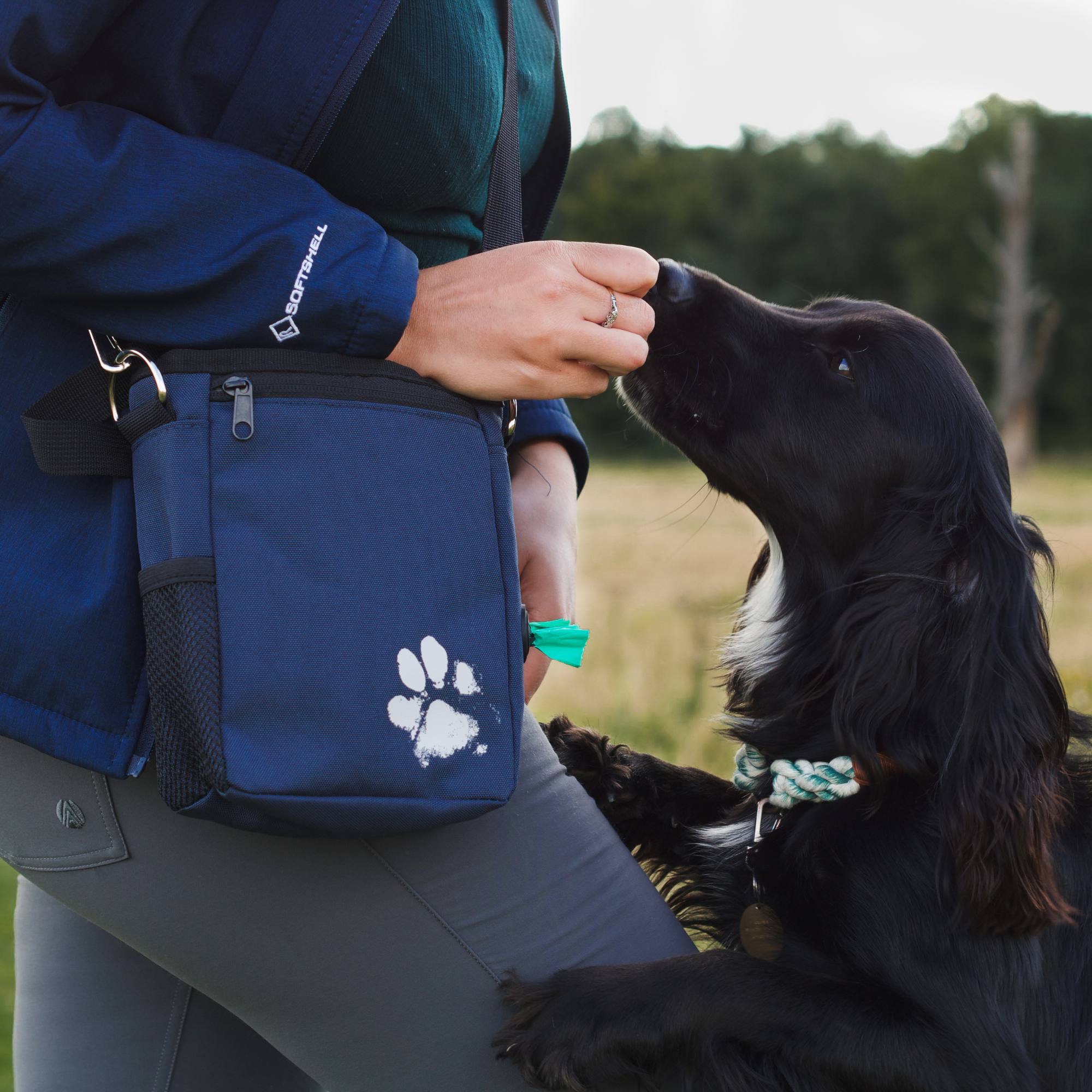 Recycled Treat & Walking Bag - Pet Impact
