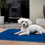 Washable Dog Incontinence Pads - Pet Impact