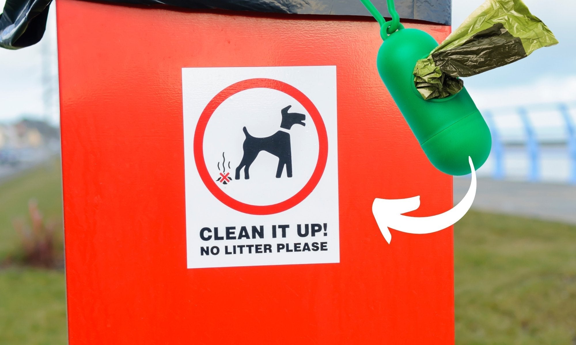 Are Compostable Poo Bags Eco-Friendly If You Don't Compost Them? - Pet Impact