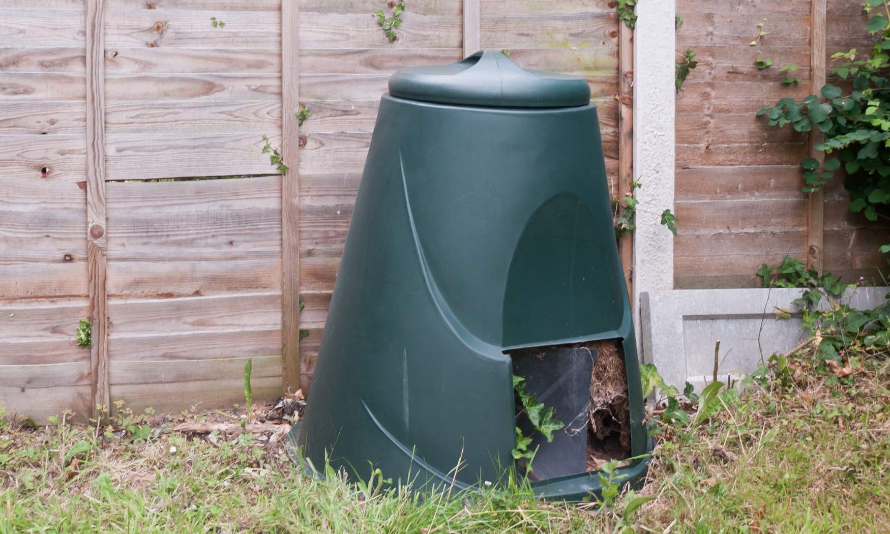 How to compost dog poo in 2026