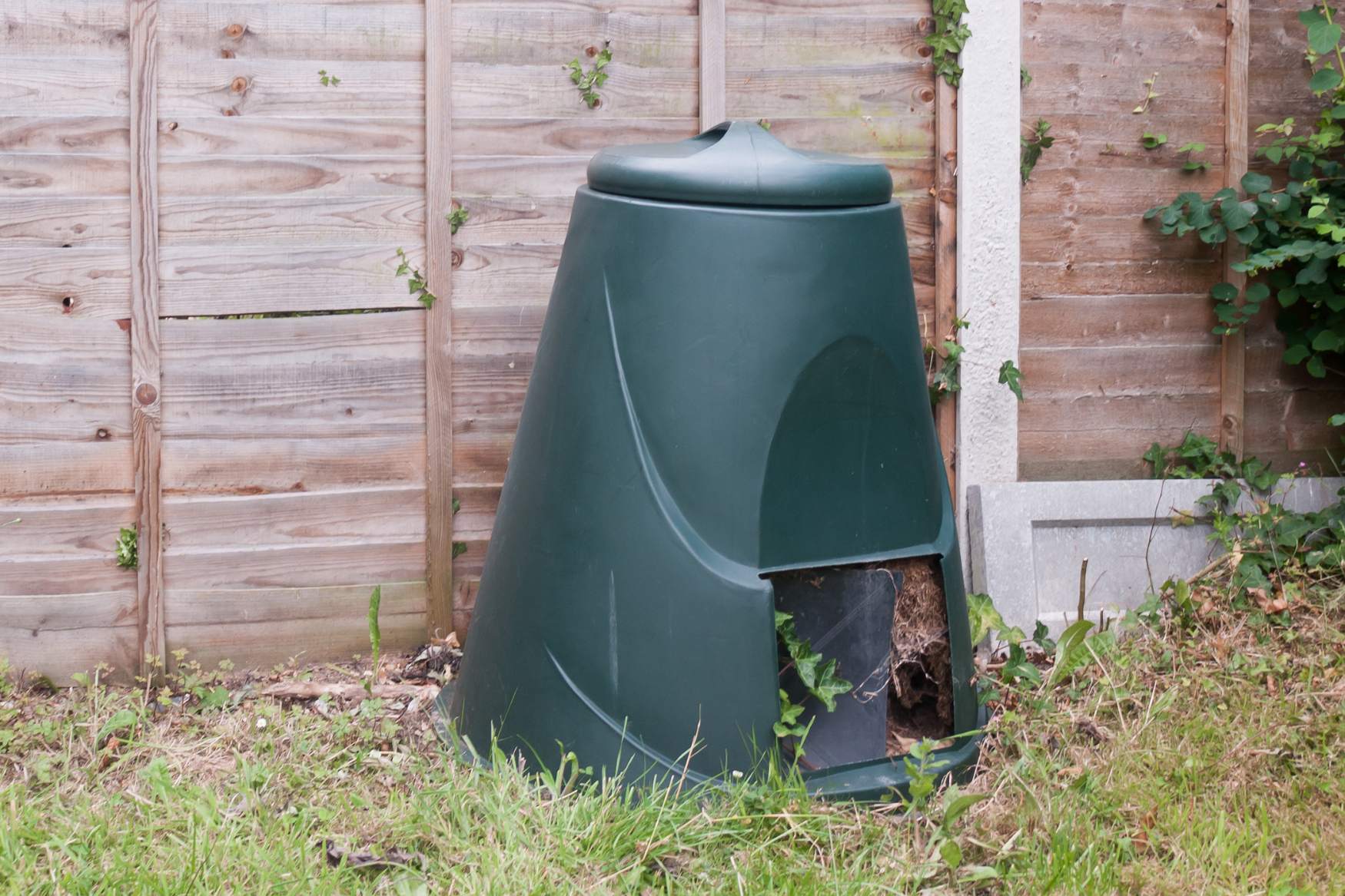 How to compost dog poo in 2026