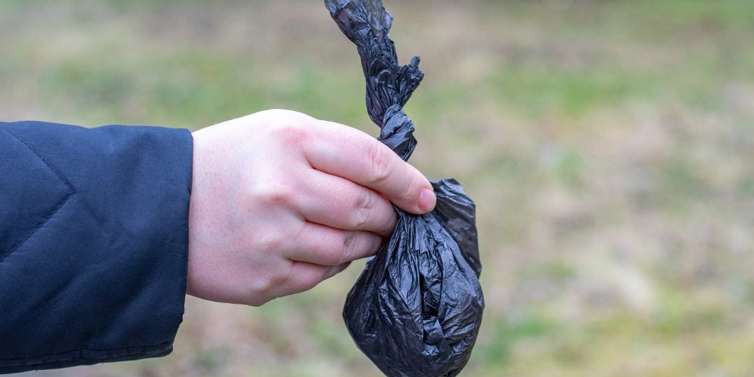 Finding The Most Sustainable Poop Bag For You - Pet Impact