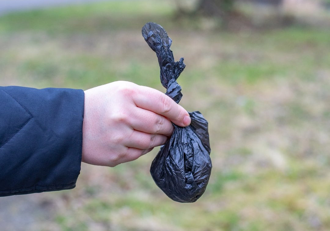 Finding The Most Sustainable Poop Bag For You - Pet Impact