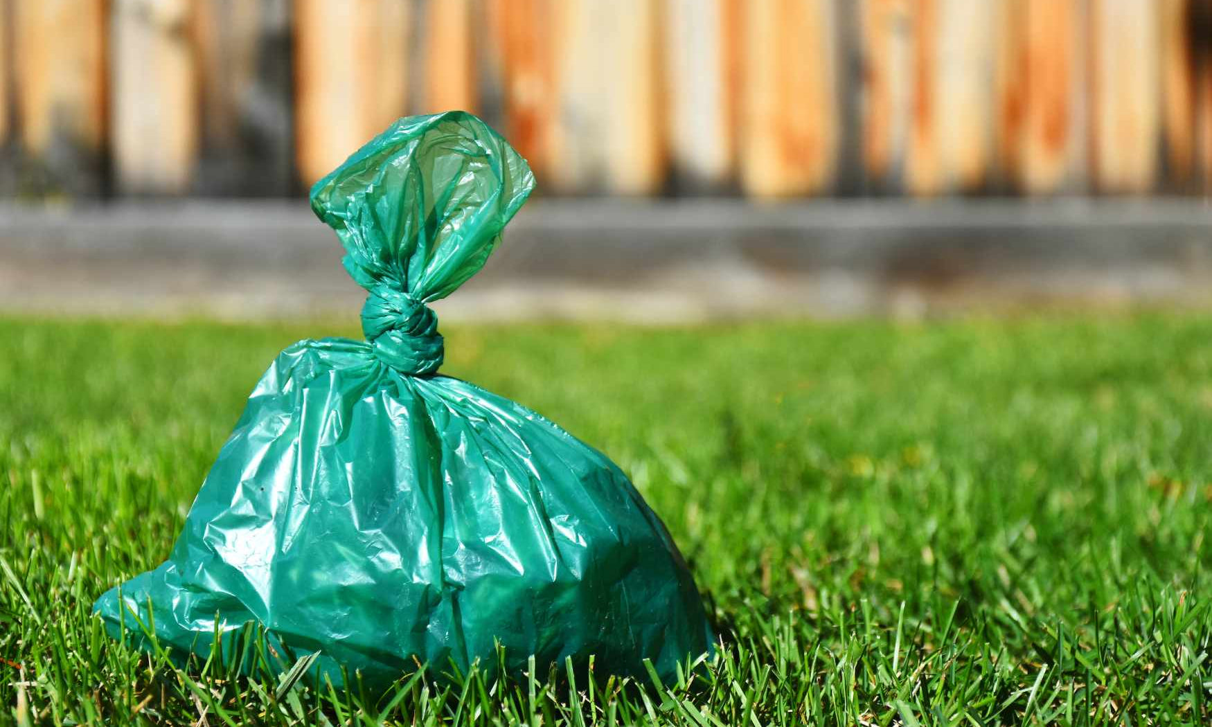 Debunking the myth: why biodegradable dog poop bags are not necessarily good for our planet