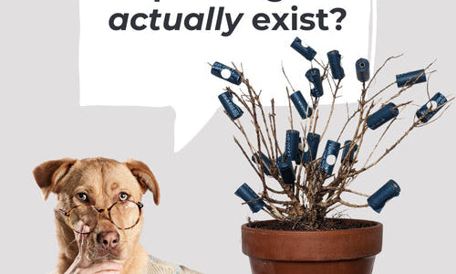 Plant-Based and Cornstarch Dog Poo Bags - Pet Impact
