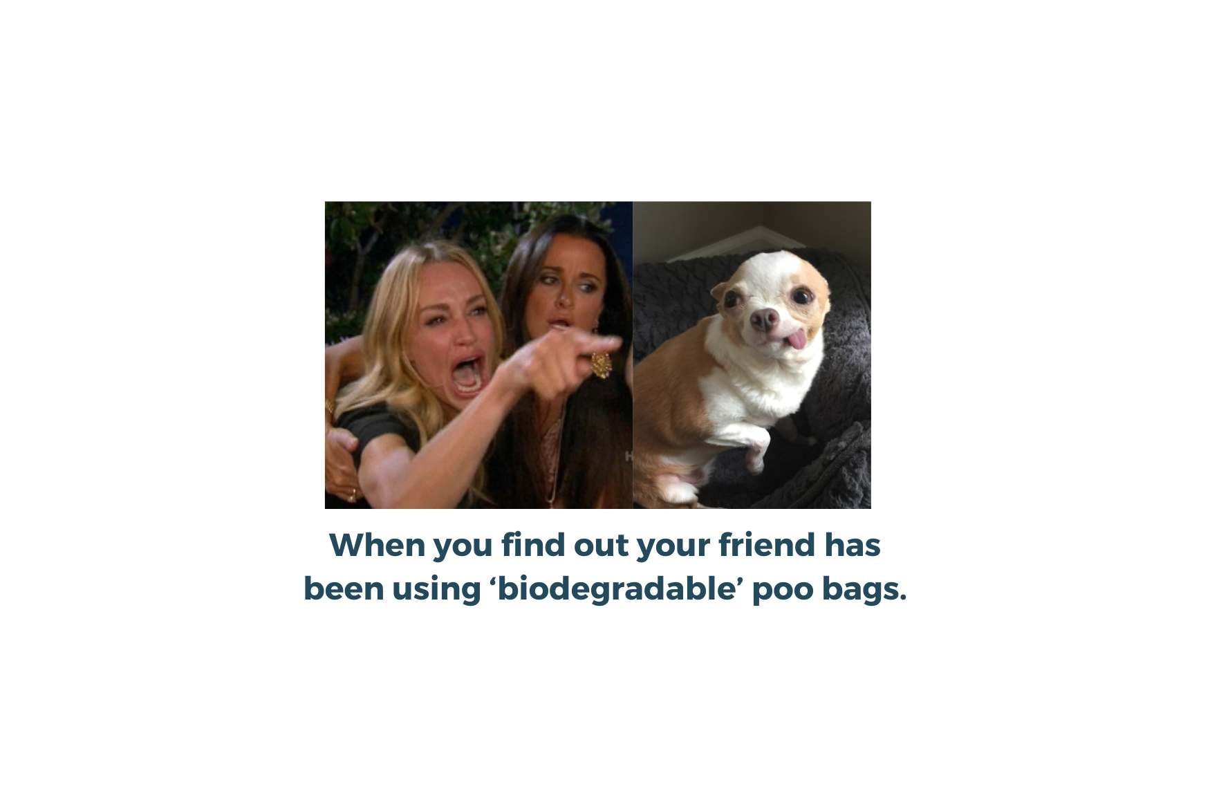 Should I Use Biodegradable Dog Poo Bags? - Pet Impact
