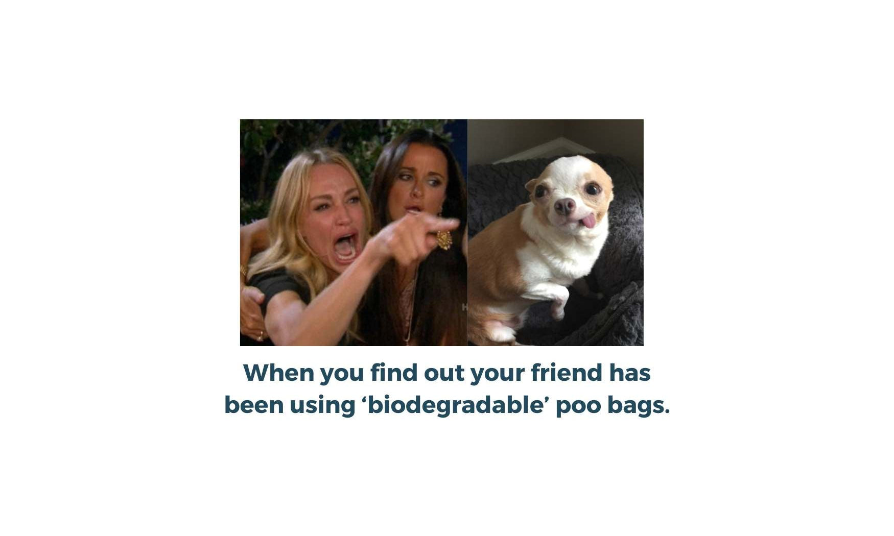 Should I Use Biodegradable Dog Poo Bags? - Pet Impact