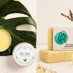 Pet Impact's Dog Spa Bundle