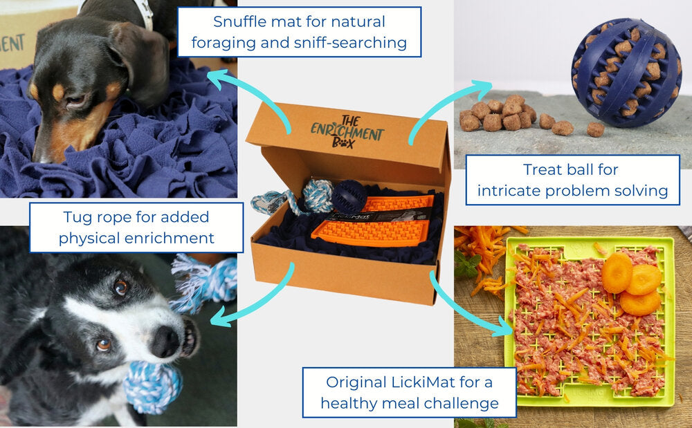 An infographic showing the components of Pet Impact's Dog Enrichment Box. Snuffle mat, rope toy, a LickiMat and a treat ball.