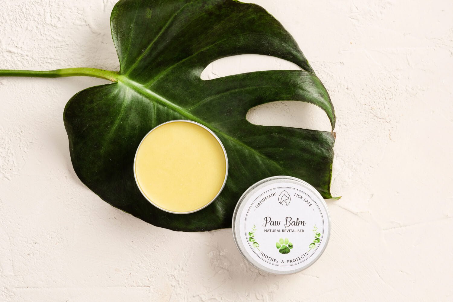 An image of dog paw balm on a green leaf