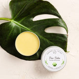 An image of dog paw balm on a green leaf