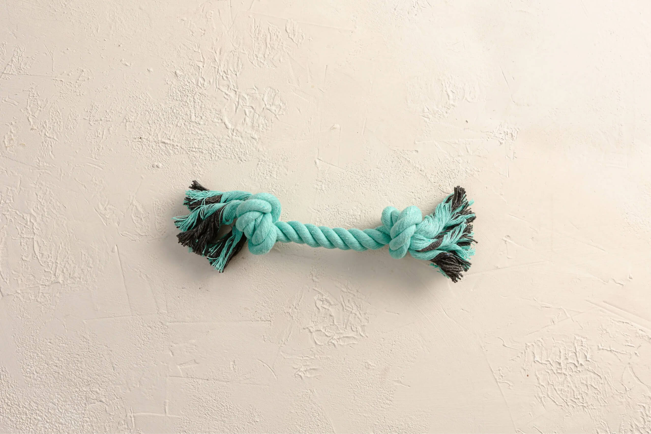 An image of the Fetch rope puppy toy on a cream background