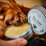 A picture of a dog dipping their paw into a tub of dog paw balm