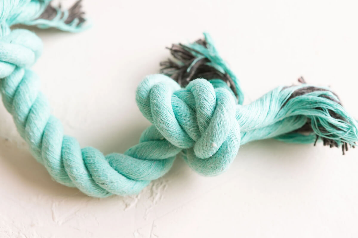 A close-up image of a dog rope toy
