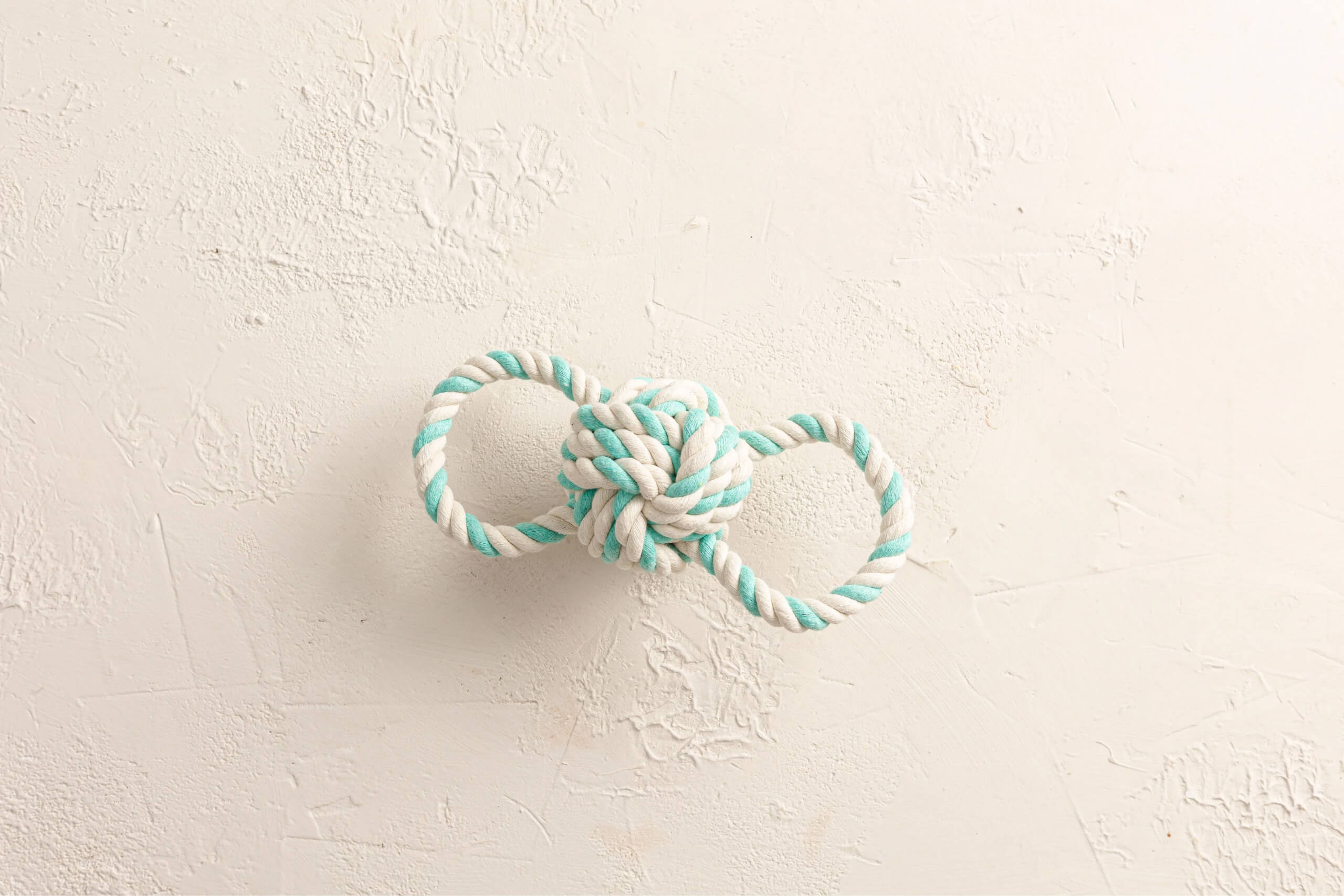 An image of the UFO rope puppy toy on a cream background