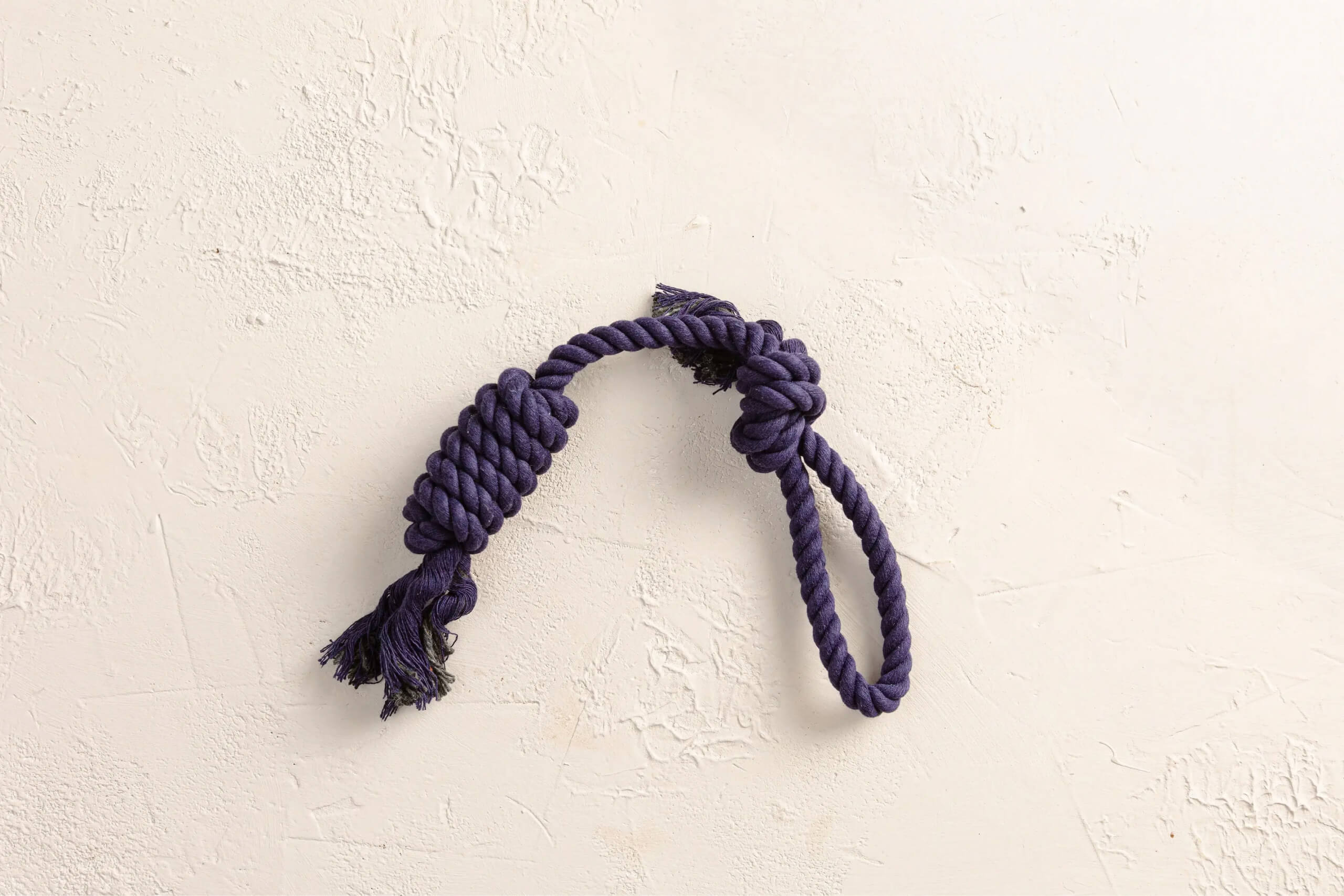 An image of The Chaser dog rope toy