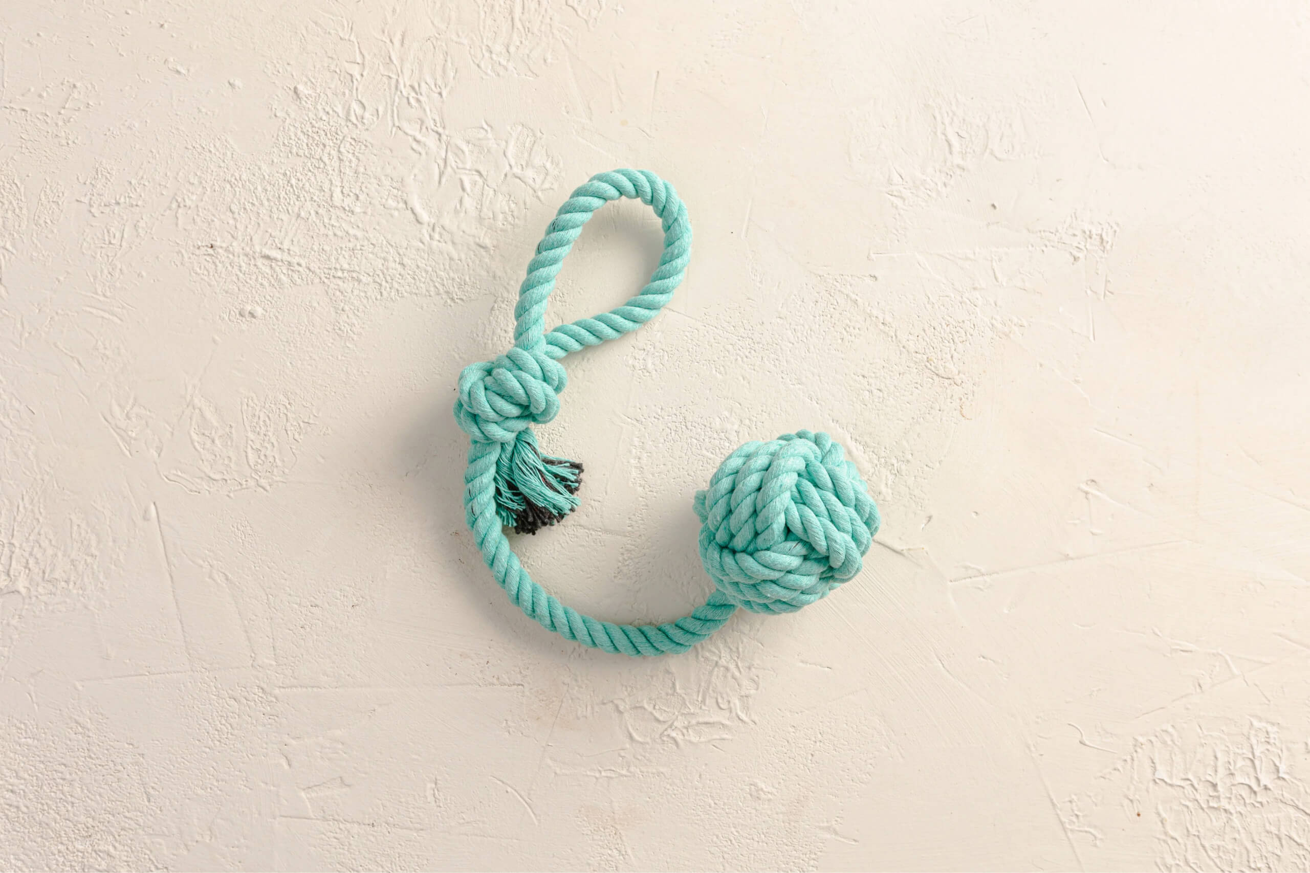 An image of a rope puppy toy
