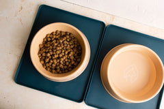 Bamboo Fibre Bowls & Base Mats - Pet Impact
