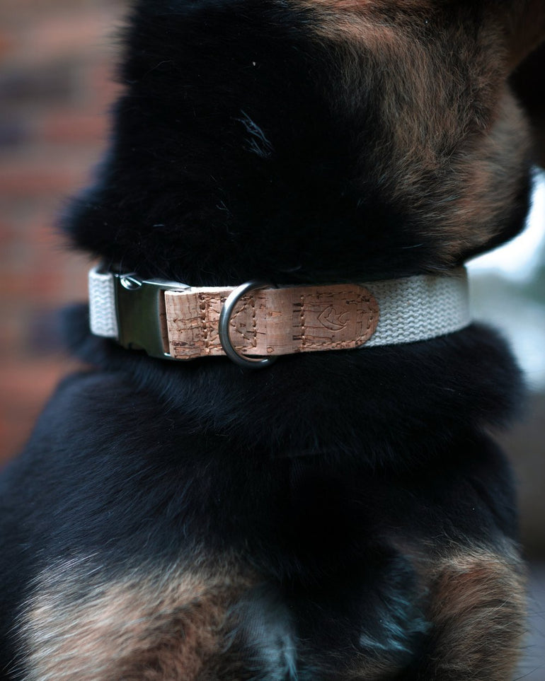 Hemp Collars and Leads (Second Chance) - Pet Impact