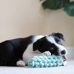 Learn the Ropes (Puppy Rope Toys) - Pet Impact