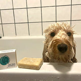 Plastic-free Oat Milk Shampoo - Pet Impact