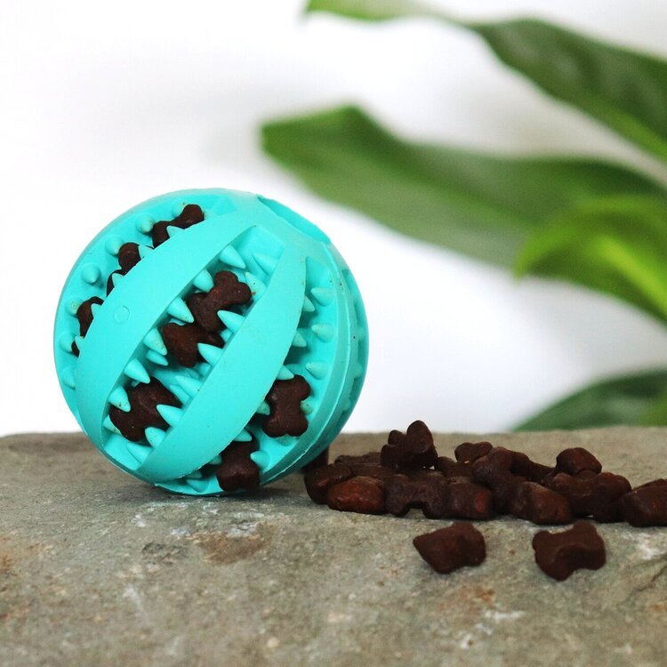 Rubber Treat Ball Teal - Pet Impact