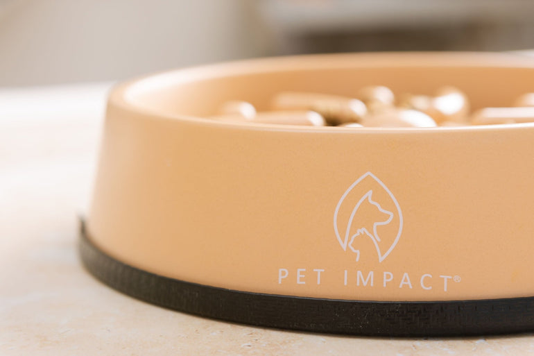 Slow Feeder Bowl (Second Chance) - Pet Impact